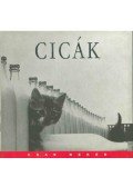 Hollósi Nikolett - Cicák - képkavalkád