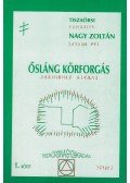 Tiszaörsi Nagy Zoltán - Ősláng körforgás I.
