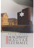 Pelle János - Auschwitz magyar szemmel