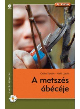 Valló László, Czáka Sarolta - A metszés ábécéje Valló László, Czáka Sarolta - A metszés ábécéje, null 2020 antikvár könyv