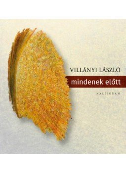 Villányi László - mindenek előtt, null 2020 antikvár könyv