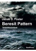 Jacob D. Foster - Beresit Pattern - Teremtésmintázat