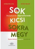 Gyöngyösi Lívia, Hetesy Bálint - Sok kicsi sokra megy (német) - Gyakorlókönyv magyarul tanulóknak - Übungsbuch für Ungarischlernende