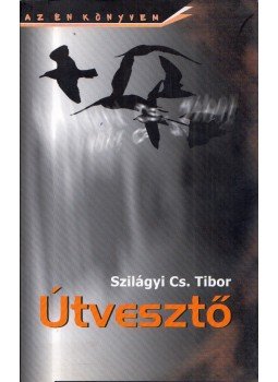 Szilágyi Cs. Tibor - Útvesztő Szilágyi Cs. Tibor - Útvesztő, Budapest 2005 antikvár könyv