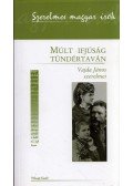 Praznovszky Mihály - Múlt ifjúság tündértaván - Vajda János szerelmei