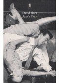 David Hare - Amy's View