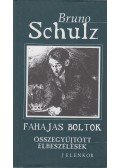 Bruno Schulz - Fahajas boltok