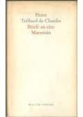 Pierre Teilhard de Chardin - Briefe an eine Marxistin
