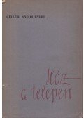 Gelléri Andor Endre - Ház a telepen