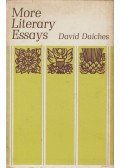 David Daiches - More Literary Essays