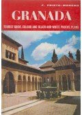 Francisco Prieto-Moreno - Granada