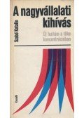 Szabó Katalin - A nagyvállalati kihívás