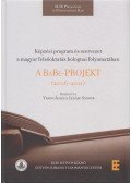 Vámos Ágnes,Lénard Sándor - Képzési program és szervezet a magyar felsőoktatás bolognai folyamatában - A BaBe-projekt, 2006-2011