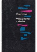 Vészi Endre - Visszapillantás a jelenbe