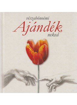 Vészabó Noémi - Ajándék neked (dedikált) Vészabó Noémi - Ajándék neked (dedikált), Budapest 2010 antikvár könyv