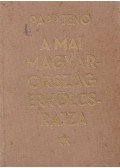 Papp Jenő - A mai Magyarország erkölcsrajza