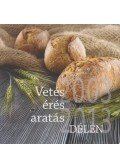 Boda Zsuzsa - Vetés-érés-aratás Délen 2003-2013