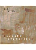 Jász Attila - A szökés gyakorlása