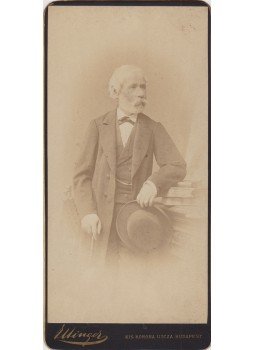 Ellinger Ede - Arany János (1817–1882) költő egész alakos, kezében kalapot és sétapálcát tartó, idős kori portréja, keményhátú fotókartonon., Budapest 1880 antikvár könyv