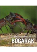 Hangay György,Merkl Ottó - Szarvas- és orrszarvúbogarak