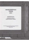 Fazekas Károly (szerk.),Szabó-Morvai Ágnes (szerk.) - Munkaerőpiaci tükör 2017