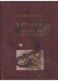 Dr. Farkas Mihály - A bridge elméletben és gyakorlatban