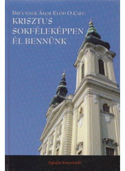 Brückner Ákos Előd O.Cist. - Krisztus sokféleképpen él bennünk (dedikált) Brückner Ákos Előd O.Cist. - Krisztus sokféleképpen él bennünk (dedikált), 2008 antikvár könyv