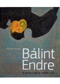 Kolozsváry Marianna - Bálint Endre - A nyolcadik templom