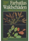 Günter Hartmann,Franz Nienhaus,Heinz Butin - Farbatlas Waldschäden