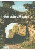 Kovács Sándor - Bús düledékeiden...