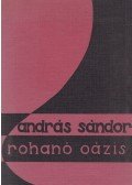 Sándor András - Rohanó oázis