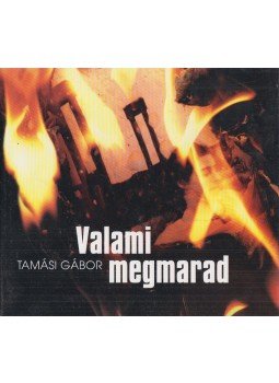 Tamási Gábor - Valami megmarad Tamási Gábor - Valami megmarad, Budapest 2004 antikvár könyv