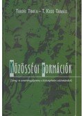 Tibori Timea,T. Kiss Tamás - Közösségi formációk