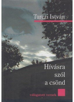 Turczi István - Hívásra szól a csönd Turczi István - Hívásra szól a csönd, Budapest 2004 antikvár könyv