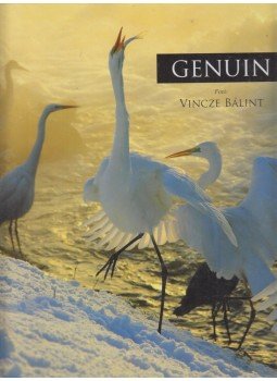 Vincze Bálint - Genuin Vincze Bálint - Genuin, Paks 2011 antikvár könyv