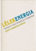 Sant Darshan Singh - Lélekenergia - Minden más energia forrása