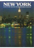 Ted Smart - New York - A picture book to remember her by