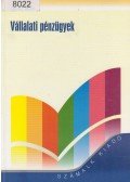 Garay Zsolt - Vállalati pénzügyek