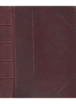 Heine - Dalok könyve Heine - Dalok könyve, Budapest 1904 antikvár könyv