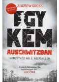 Andrew Gross - Egy kém Auschwitzban