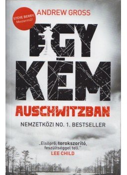 Andrew Gross - Egy kém Auschwitzban Andrew Gross - Egy kém Auschwitzban, Budapest 2020 antikvár könyv