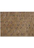 R. D. Barnett - Assyrische Palastreliefs