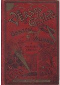Verne Gyula,Jules Verne - A franczia zászló