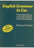 Raymond Murphy - English Grammar in Use