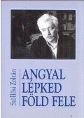 Szöllősi Zoltán - Angyal lépked föld fele