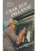 Pálfalvi Nándor - Csak egy pillanat