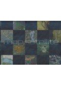 Philip Eales - Map: Satellite