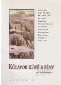Balázs Tibor (szerk.) - Kőlapok közé a fény (dedikált)