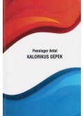 Penninger Antal - Kalorikus gépek