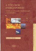 Reményi Károly - A tűz örök energiaforrás